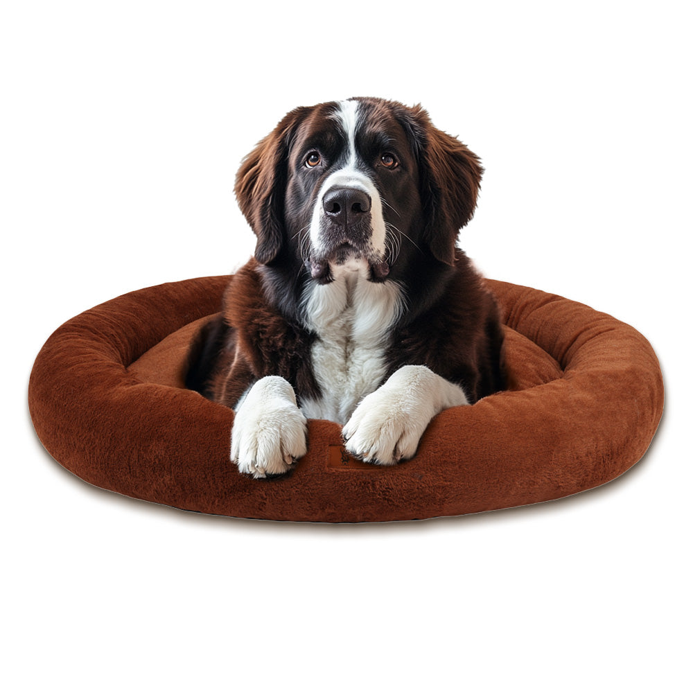 整形外科用ドーナツ型犬用ベッド