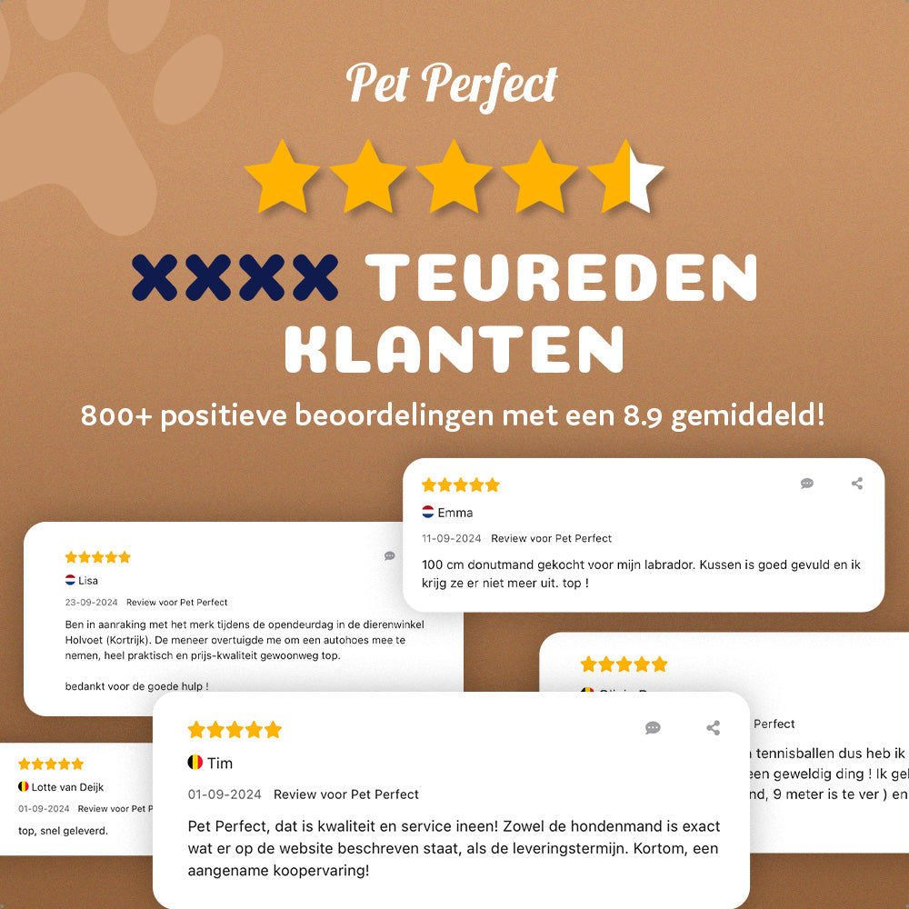 整形外科用ドーナツ型犬用ベッド