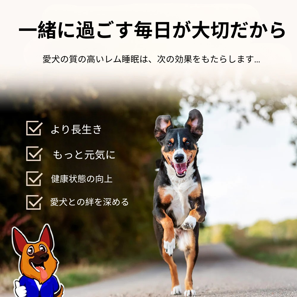 ドリームペットベッド（整形外科用）