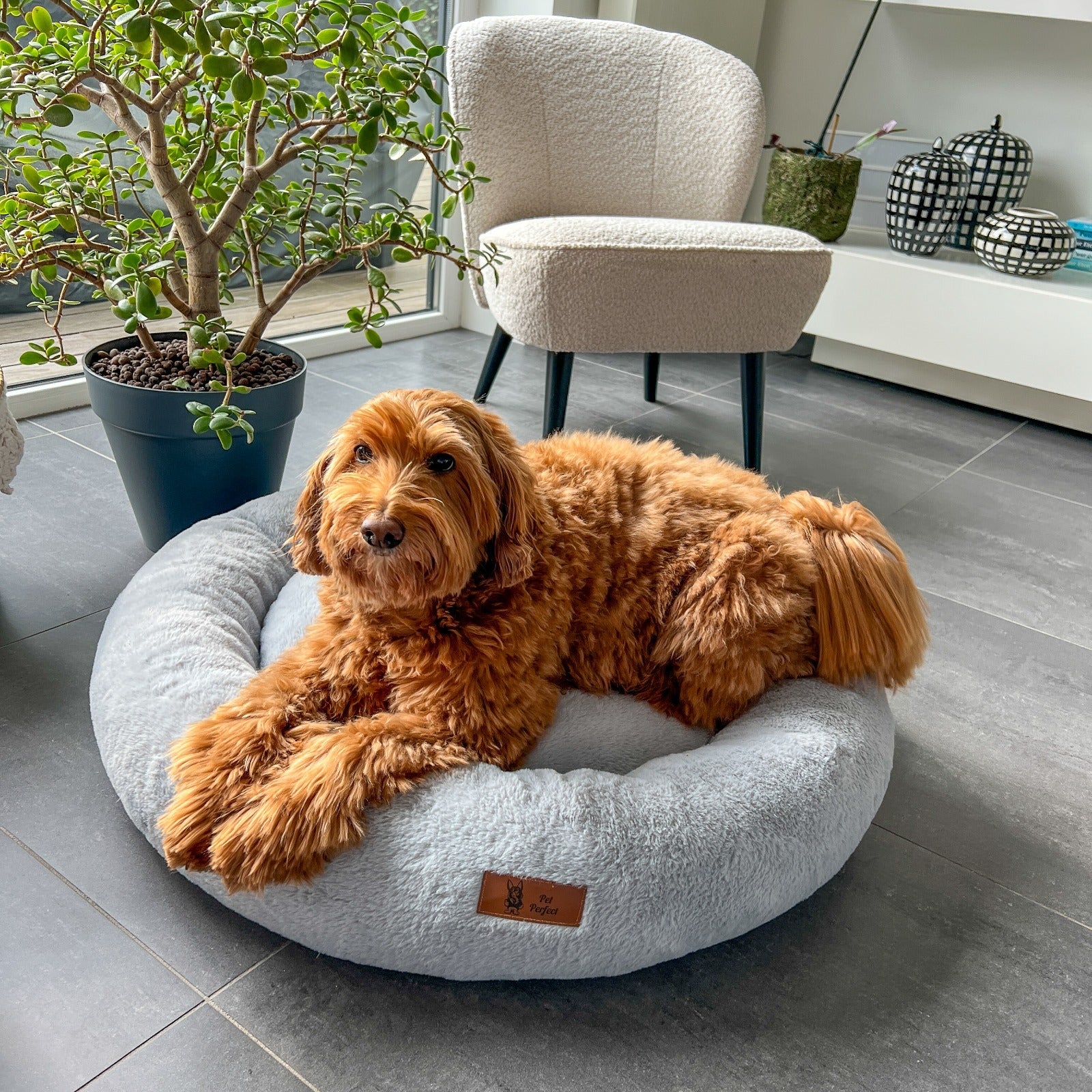 整形外科用ドーナツ型犬用ベッド