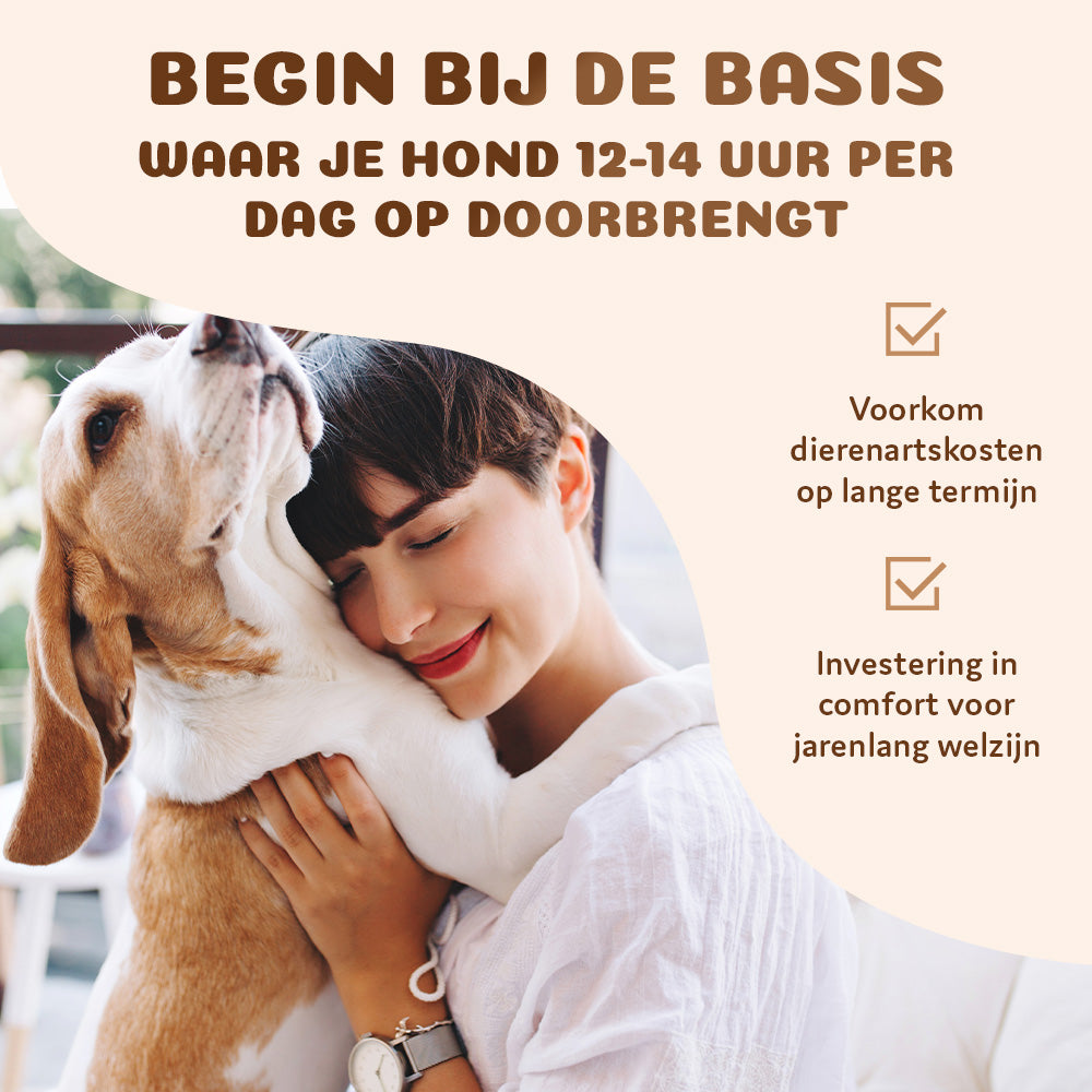 整形外科用ドーナツ型犬用ベッド